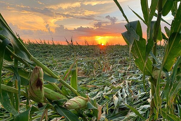 Nebraska – Iowa – Illinois – Indiana – Ohio- Michigan High Wind Event